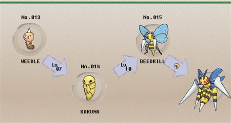 what level does beedrill evolve